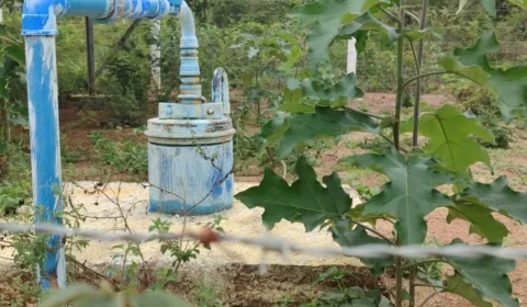 Avanço de monoculturas é visto como ameaça à ‘caixa d’água do Sertão’