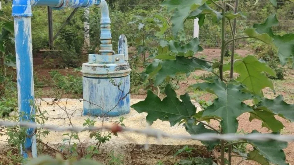 Avanço de monoculturas é visto como ameaça à ‘caixa d’água do Sertão’
