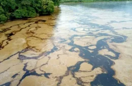 Vazamento de petróleo contamina rio e provoca emergência ambiental no Equador