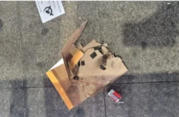 Jandira sobre suposto atentado em SP: ‘Tentam jogar absurdos deles no nosso colo’