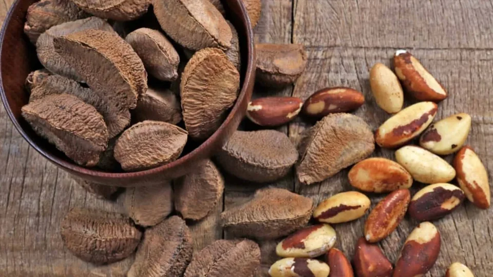 Veja o alimento que pode ajudar no combate à inflamação e à obesidade, segundo estudo