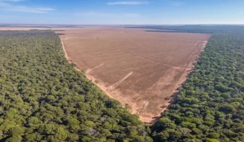 Ambientalistas denunciam novo tipo de licenciamento ambiental: ‘Desastres anunciados’