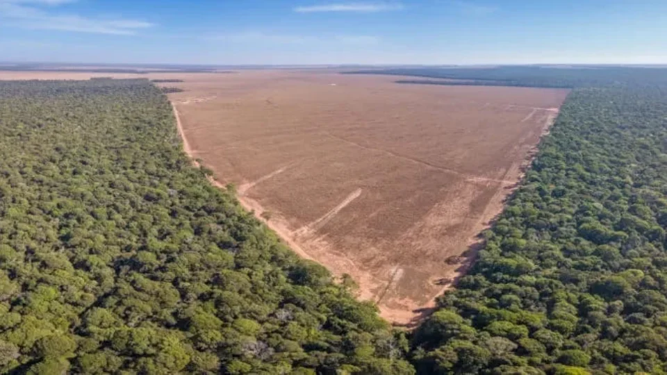 Ambientalistas denunciam novo tipo de licenciamento ambiental: ‘Desastres anunciados’