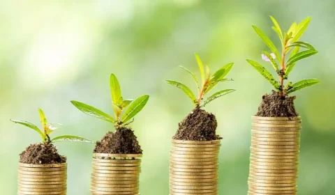 Como a economia verde pode proteger seu bolso e o planeta