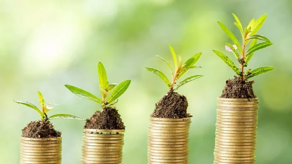 Como a economia verde pode proteger seu bolso e o planeta