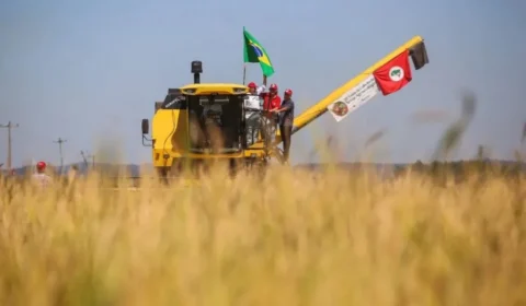 MST realiza Festa da Colheita do Arroz no RS depois de um ano sem a celebração