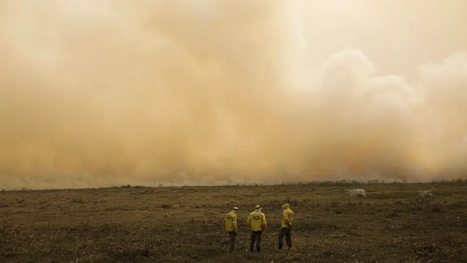 Verão foi menos chuvoso do que o necessário para repor água do solo
