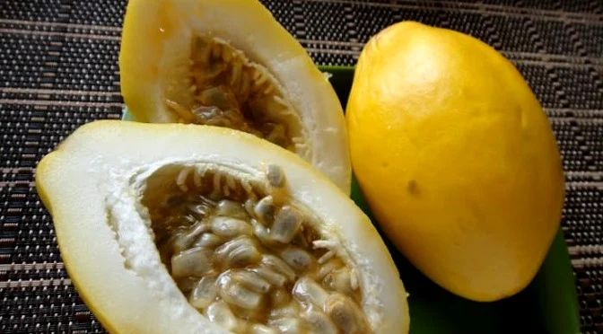 Fruta