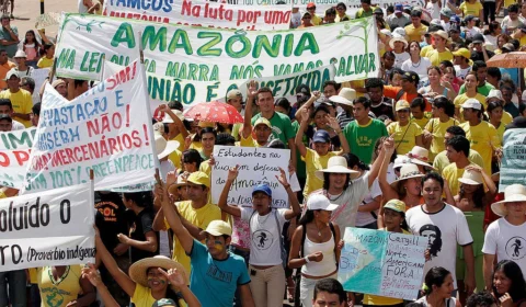 Movimento ambientalista no Brasil: origem, políticas e impacto social