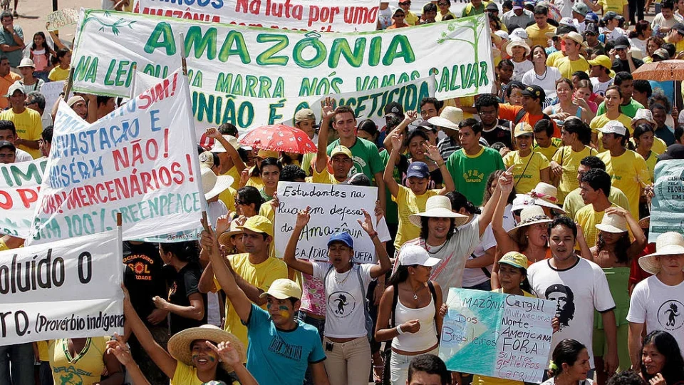Movimento ambientalista no Brasil: origem, políticas e impacto social
