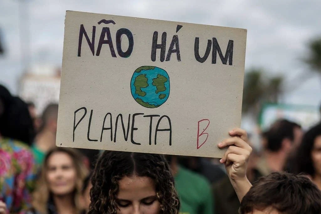 Movimento ambientalista: história, desafios e protagonistas