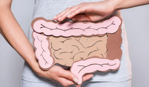 ‘2º cérebro’: o que a ciência já sabe sobre a importância do intestino na saúde da mente