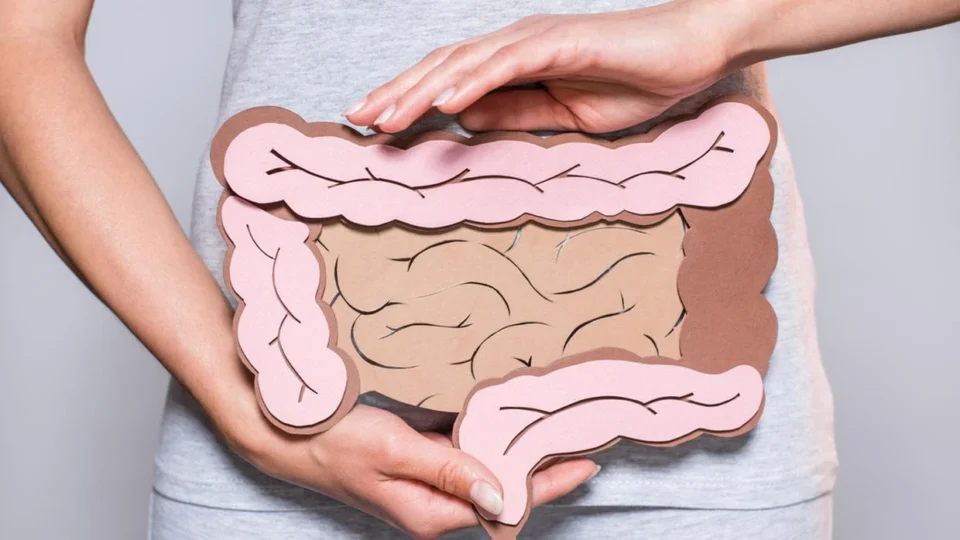 ‘2º cérebro’: o que a ciência já sabe sobre a importância do intestino na saúde da mente
