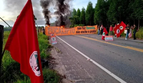 Mulheres do MST ocupam área da Suzano no ES e denunciam impactos ambientais