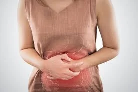 INTESTINO
