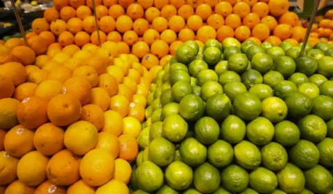Frutas cítricas podem ajudar no combate à depressão, aponta estudo