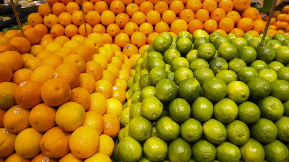 Frutas cítricas podem ajudar no combate à depressão, aponta estudo