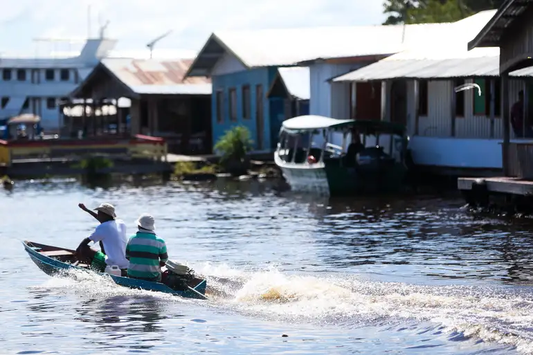 Amazônico