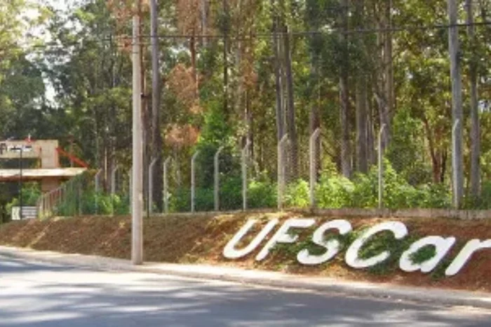Universidade