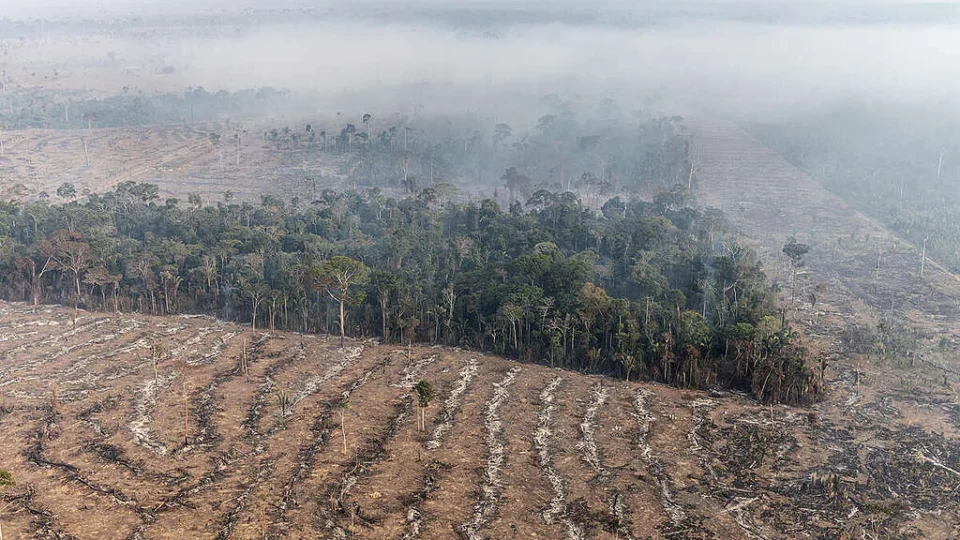 Projeto apoiado por Alcolumbre flexibiliza controle ambiental e contraria STF