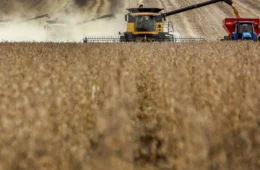 Soja será metade da safra recorde do Brasil em 2025; preço de alimentos não deve cair