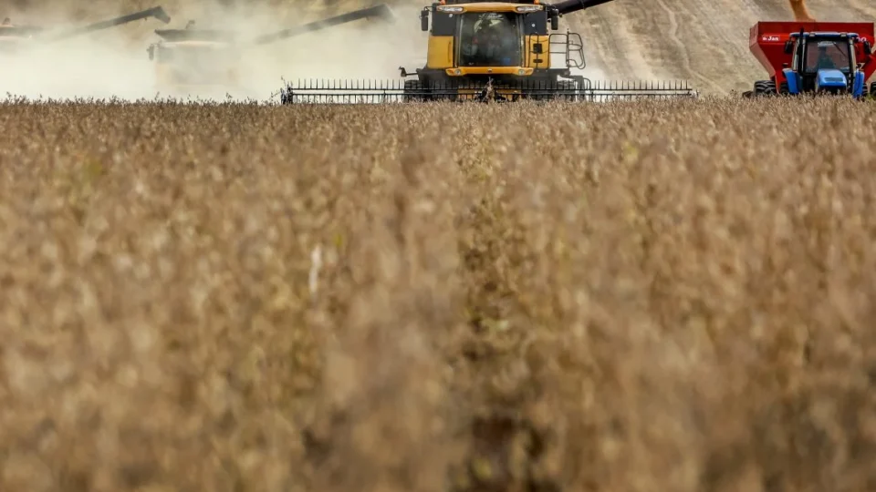 Soja será metade da safra recorde do Brasil em 2025; preço de alimentos não deve cair