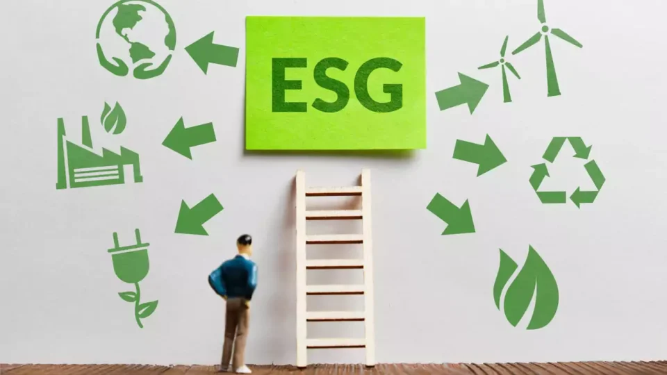 ESG: o que é, contexto social e como essa sigla está por trás da sustentabilidade de uma organização