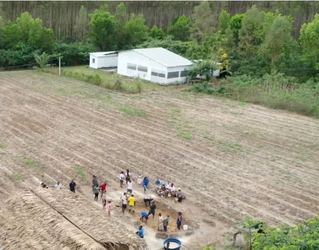 Moradores de Volta Miúda aram a terra cercados por grande latifúndio da Suzano. MPF ajuizou ação contra empresa. Foto: Bruno Locatelli