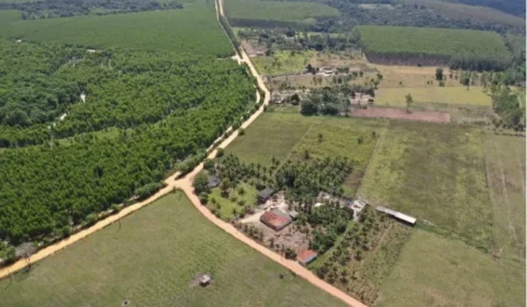 Suzano e Veracel barram chegada de eletricidade em comunidades quilombolas na Bahia