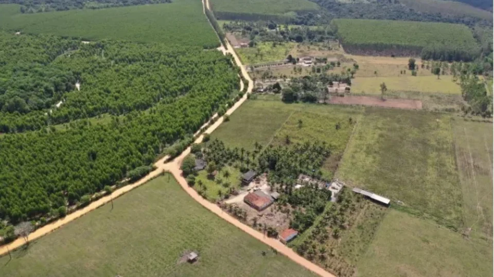 Suzano e Veracel barram chegada de eletricidade em comunidades quilombolas na Bahia