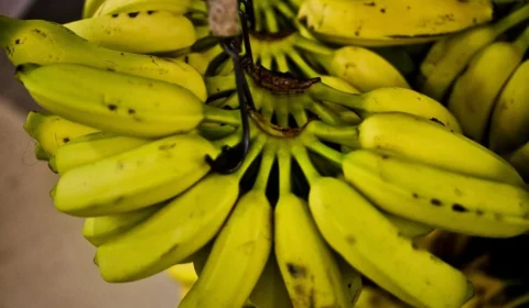 Banana e batata-doce podem ajudar a reduzir pressão arterial, aponta estudo