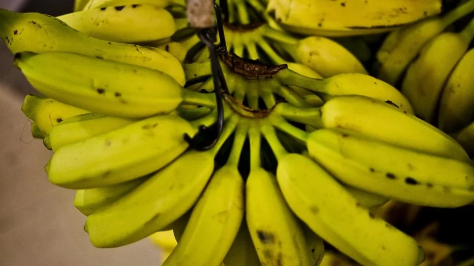 Banana e batata-doce podem ajudar a reduzir pressão arterial, aponta estudo