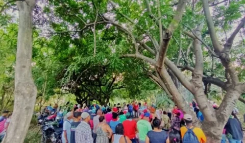 MST ocupa área no Vale do Rio Doce (MG) e reivindica reforma agrária