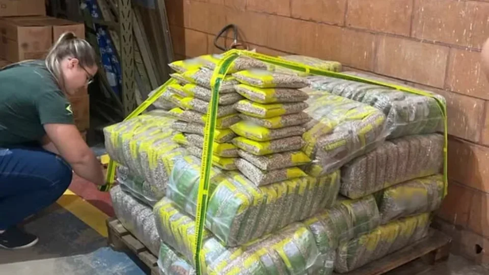 Governo apreende 32 toneladas irregulares de arroz e feijão em SP