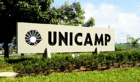 Unicamp aprova processos que cria novos cursos; veja lista