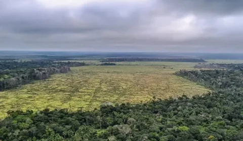 Desmatamento na Amazônia cresce e acende alerta para fiscalização