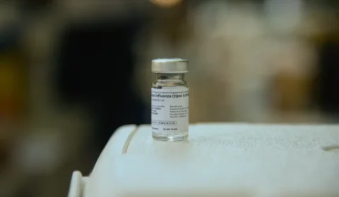 Vacinas mais modernas podem prevenir nova pandemia, segundo pesquisadores