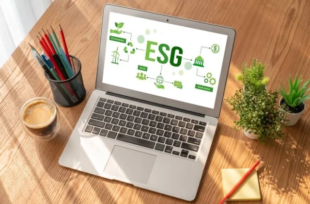 Muitas empresas ESG criaram uma diretoria de sustentabilidade em seus organogramas. Imagem: reprodução