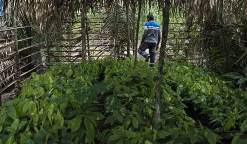 ‘Comida mais cara tem a ver com a falta de reforma agrária’, diz pesquisadora