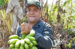 Agricultor assassinado na mesma região que Dorothy Stang denunciava invasões no Pará