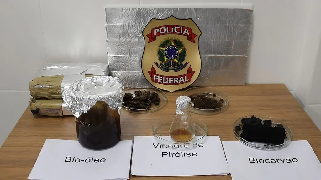 maconha