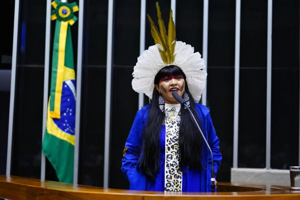 deputada federal indígena célia