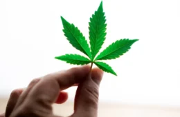 Flagrado com até 40g de maconha terá um mês para ir a centro de atendimento