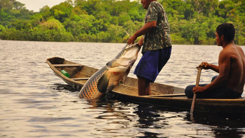 Seguro-Defeso Seguro-Defeso beneficiou cerca de 561 mil pescadores artesanais no Brasil até março