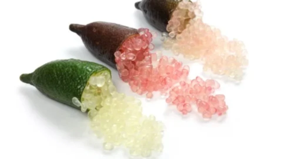 Limão caviar: a fruta pouco conhecida no Brasil que pode custar até R$ 800 o quilo