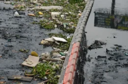 Baía de Guanabara recebe 3 milhões de litros de chorume por dia