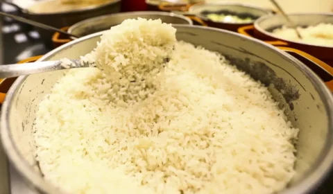 Áreas plantadas de arroz e feijão têm leve aumento a partir da safra 2022/2023