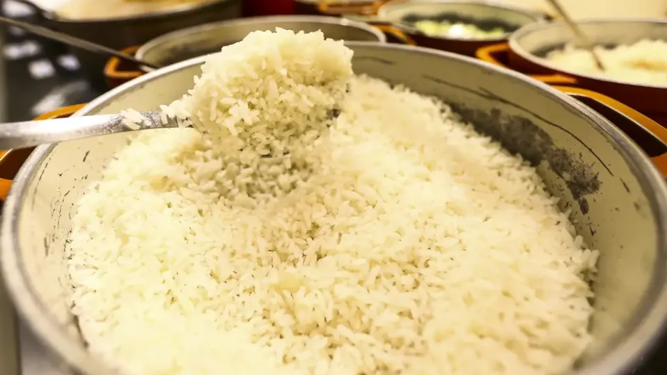 Áreas plantadas de arroz e feijão têm leve aumento a partir da safra 2022/2023