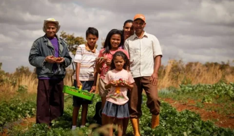 Como a agricultura familiar resiste à concentração de terras e garante alimento na mesa dos brasileiros