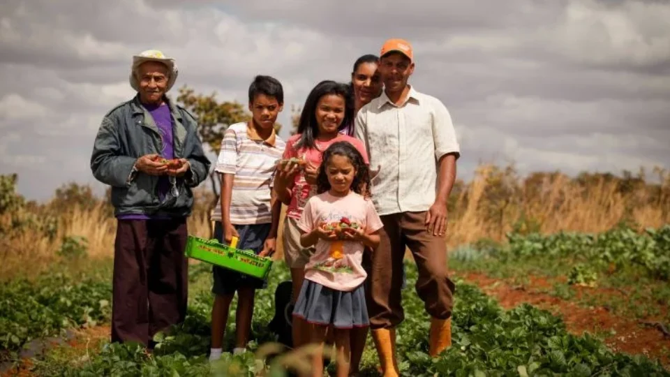 Como a agricultura familiar resiste à concentração de terras e garante alimento na mesa dos brasileiros